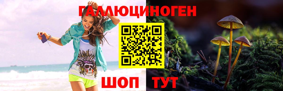 Галлюциногенные грибы мицелий  Вход с VPN  закладки  Котельники 